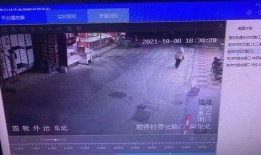 鱼爆料的视频大全最新版,揭秘娱乐圈幕后真相