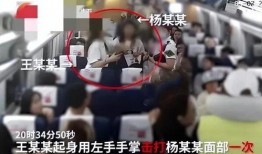 女子爆料淄博新闻事件视频,真相背后引人深思