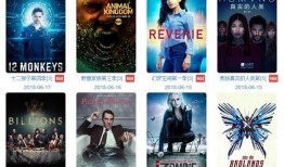 天涯爆料偷渡视频大全播放,天涯爆料偷渡视频大全播放背后的惊心动魄